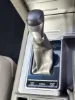 Picture of Toyota Prado 2021