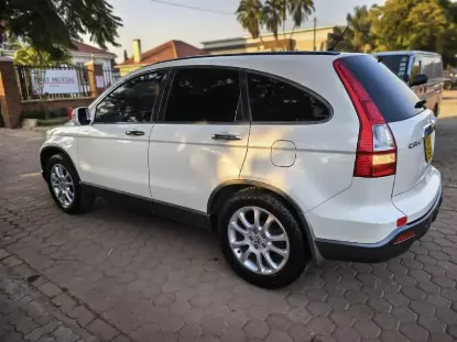 Picture of Honda CR-V 2010