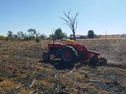Picture of Massey ferguson 1996