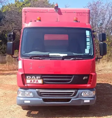Picture of DAF 2013