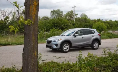 Picture of Mazda CX-5s for hire!