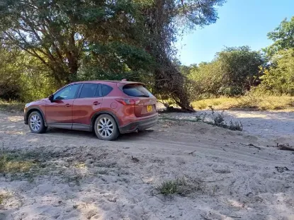 Picture of Mazda CX-5s for hire!