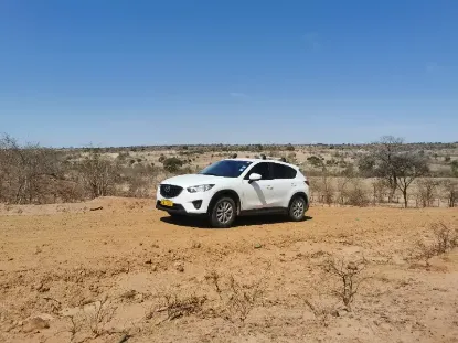 Picture of Mazda CX-5s for hire!