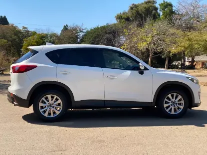 Picture of Mazda CX-5s for hire!