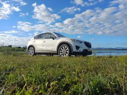 Picture of Mazda CX-5s for hire!