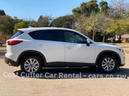 Picture of Mazda CX-5s for hire!