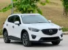 Picture of Mazda CX-5s for hire!