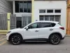 Picture of Mazda CX-5s for hire!