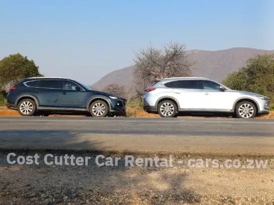 Picture of Mazda CX-8 six / seven seater for hire!