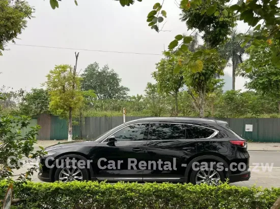 Picture of Luxury Mazda CX-8 for hire!