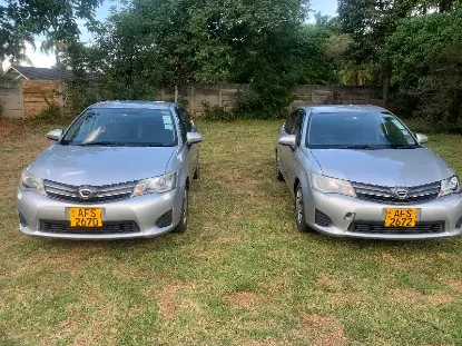 Picture of Compact Intermediates'