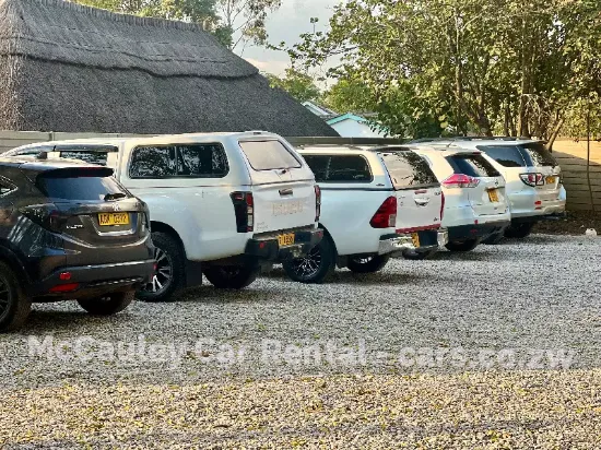 Picture of Car Rentals