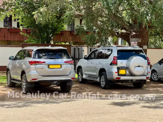 Picture of Car Rentals