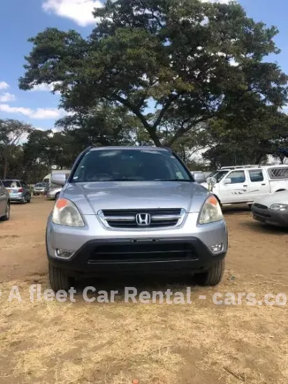 Picture of Car Rental/Car Hire:CRVs, How about travelling comfortably?