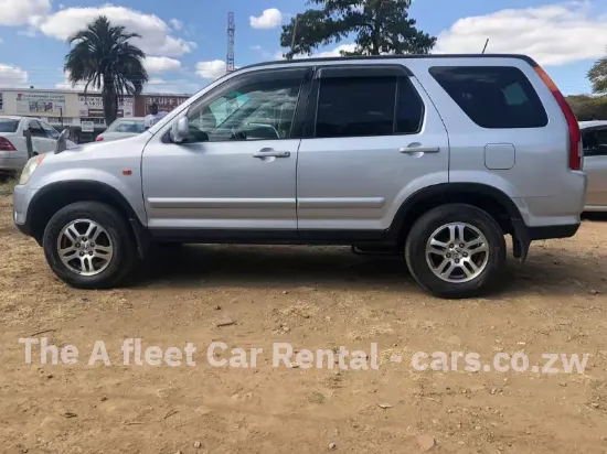 Picture of Car Rental/Car Hire: Honda CRVs