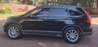 Picture of Car Rental/Car Hire: Honda CR-V (RE), comfy ride