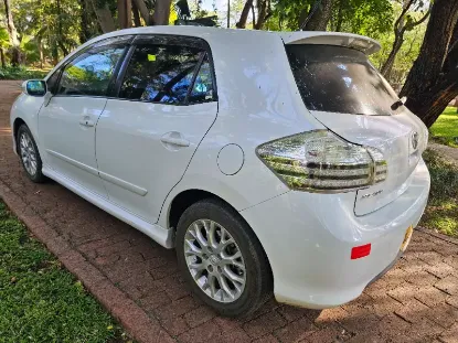Picture of Small Car Rental