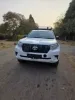Picture of Toyota Prado 2023