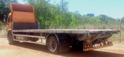 Picture of DAF 2013