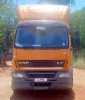 Picture of DAF 2013