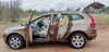 Picture of Volvo XC60 2010