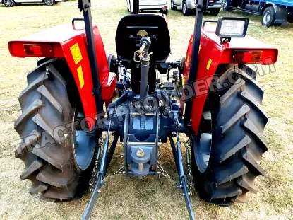 Picture of Massive 345 2025