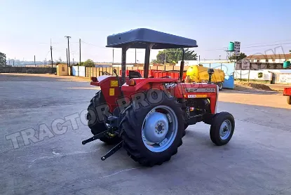 Picture of Massive 240s 2025