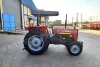 Picture of Massive 240s 2025