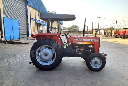 Picture of Massive 240s 2025