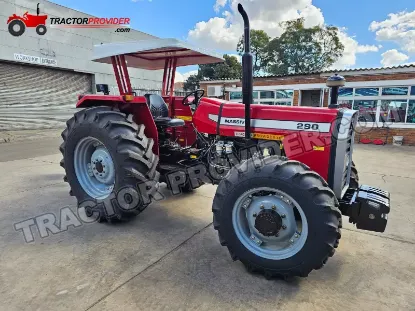 Picture of Massive 290 2025