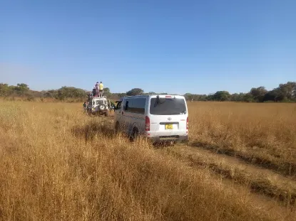 Picture of Toyota Hiace 10 seater (baby quantum)