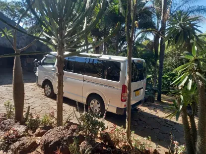 Picture of Toyota Hiace 10 seater (baby quantum)