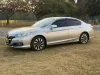 Picture of Honda 2013