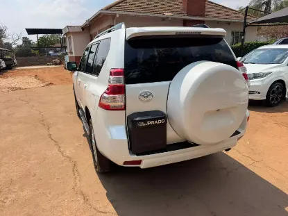 Picture of Toyota Prado 2019