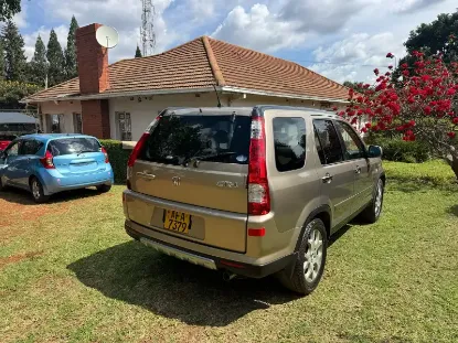 Picture of Honda CR-V 2007