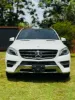 Picture of Mercedes Benz ML-Class 2016