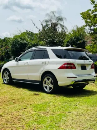Picture of Mercedes Benz ML-Class 2016