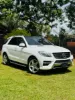 Picture of Mercedes Benz ML-Class 2016