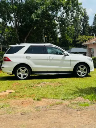 Picture of Mercedes Benz ML-Class 2016