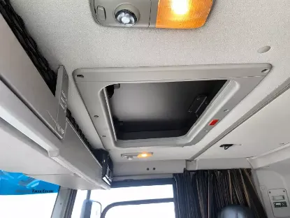 Picture of DAF 2019