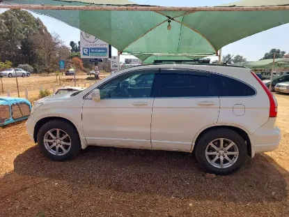 Picture of Honda CR-V RE4 2007