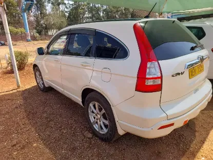 Picture of Honda CR-V RE4 2007