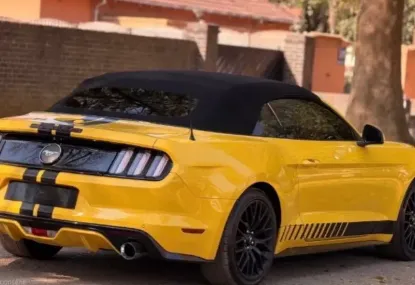 Picture of Ford Mustang 2019