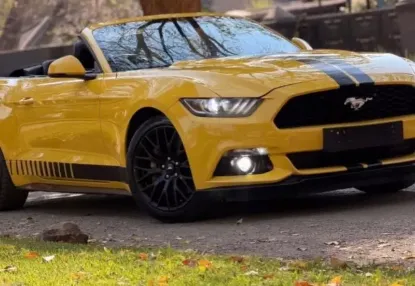 Picture of Ford Mustang 2019