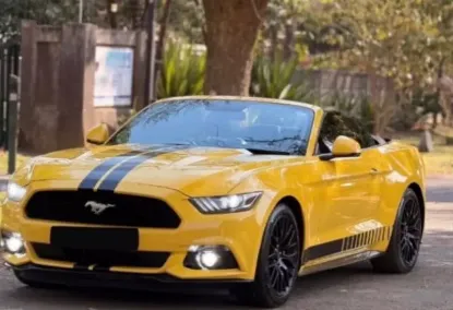 Picture of Ford Mustang 2019