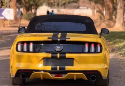 Picture of Ford Mustang 2019