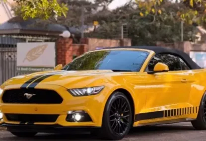 Picture of Ford Mustang 2019