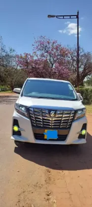 Picture of Toyota Alphard S 2016