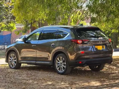 Picture of Spacious, neat, high clearance SUVs- Mazda CX-8 for hire!! From