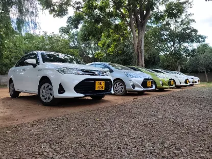 Picture of Clean Sedans : Nissan Sylphy, Mazda Axela, Toyota Axio for hire. FROM